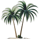 CAPE CORAL POLITICS FLORIDA PALM TREES